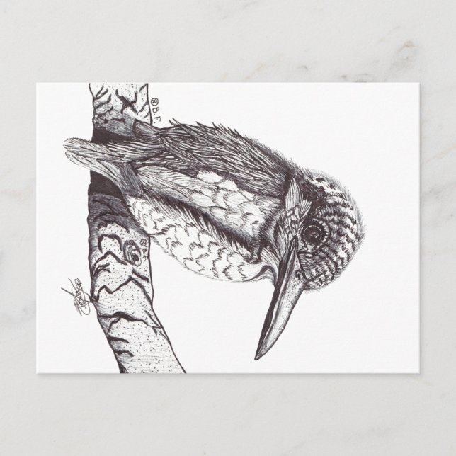 CARTES POUR FÊTES ANNUELLES KINGFISHER (Devant)