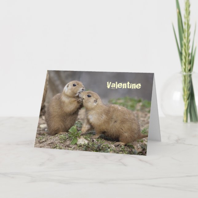 Cartes Pour Fêtes Annuelles Kiss Me Quick (Devant)