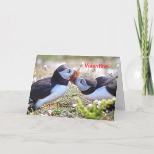 Cartes Pour Fêtes Annuelles Kissing Puffins Card - Valentine