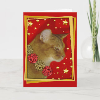 Cartes Pour Fêtes Annuelles KissMouse