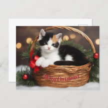 Kitten dans le panier