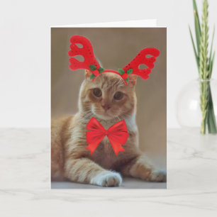 Cartes Pour Fêtes Annuelles Kitty Cat Reindee Noël