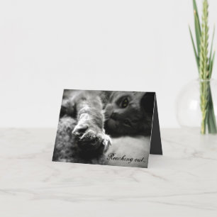 Cartes Pour Fêtes Annuelles Kitty Cat Valentine's Day Card