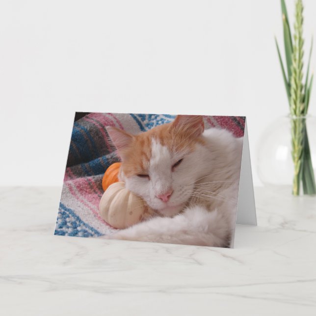 Cartes Pour Fêtes Annuelles Kitty Thanksgiving (Devant)