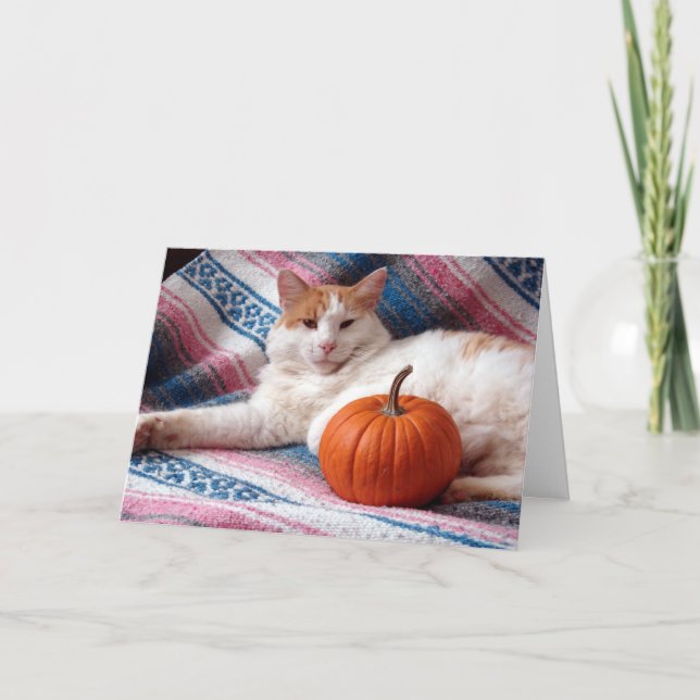 Cartes Pour Fêtes Annuelles Kitty Thanksgiving (Devant)