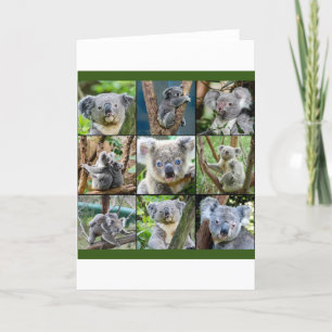 Cartes Pour Fêtes Annuelles Koala australien à l'eucalyptus