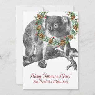 Cartes Pour Fêtes Annuelles Koala Bear Aussie