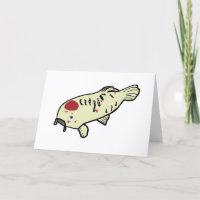 Koi Carp
