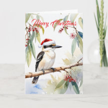 Kookaburra australien chapeau de Père Noël Joyeux