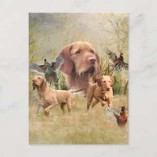 Cartes Pour Fêtes Annuelles La À poils durs hongroise Vizsla