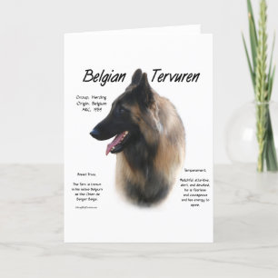 Cartes Pour Fêtes Annuelles La Belge Tervuren rencontre la race