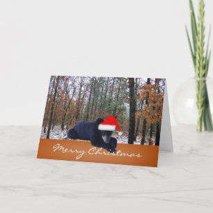 Cartes Pour Fêtes Annuelles La came de jeu a attrapé un ours CUB folâtrant le