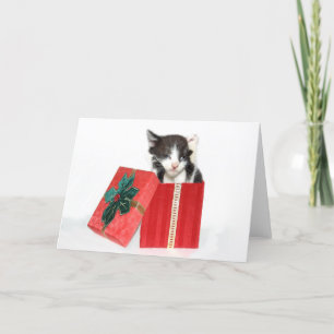 Cartes Pour Fêtes Annuelles La curiosité a obtenu le chaton de Noël