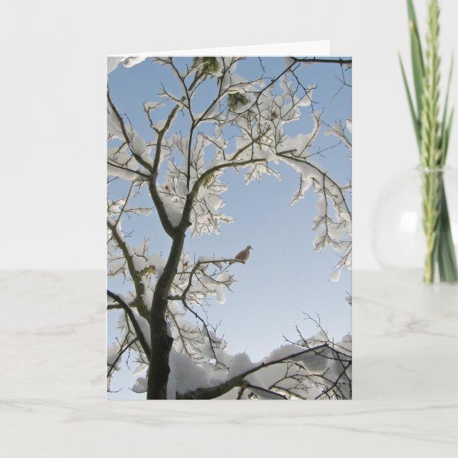 Cartes Pour Fêtes Annuelles La Dove répond : "Noel." (Devant)