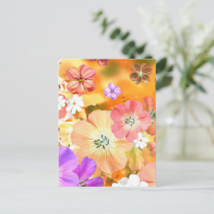 Cartes Pour Fêtes Annuelles La fée sortira bientôt 3