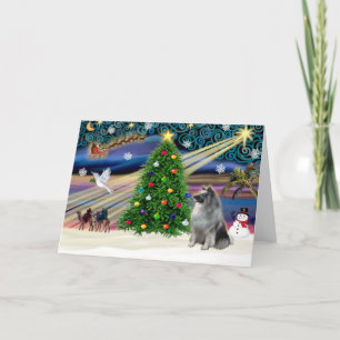 Cartes Pour Fêtes Annuelles La Magie de Noël Keeshond