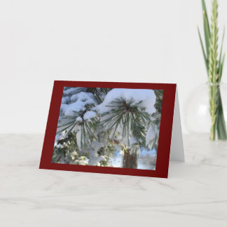 Cartes Pour Fêtes Annuelles la neige a couvert des pins
