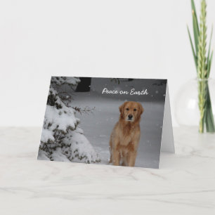 Cartes Pour Fêtes Annuelles La paix des arbres sur Terre