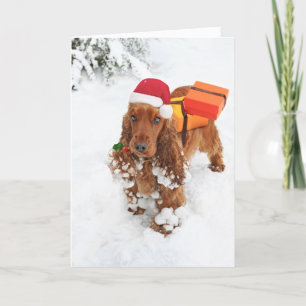Cartes Pour Fêtes Annuelles La petite aide de Père Noël