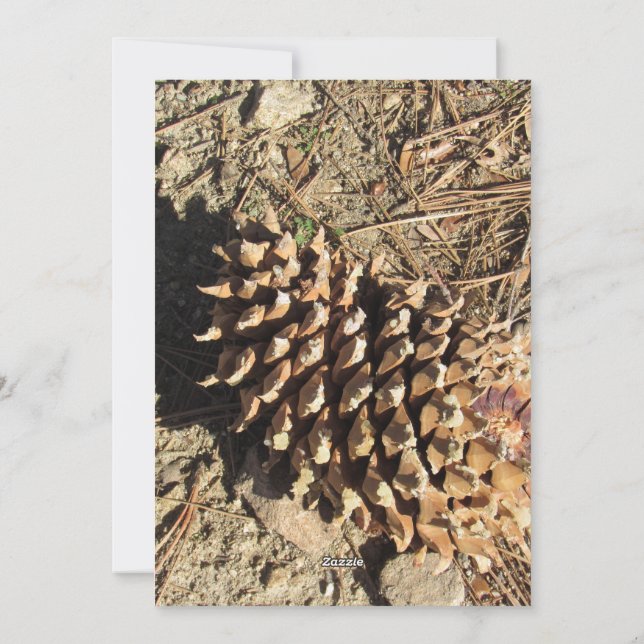 Cartes Pour Fêtes Annuelles La Pinecone de la sangle (Dos)