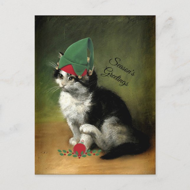 Cartes Pour Fêtes Annuelles La Postca de Noël à l'ancienne et chaton (Devant)