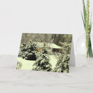 Cartes Pour Fêtes Annuelles La Raison De La Saison