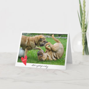 Cartes Pour Fêtes Annuelles La Saint-Valentin nous a laissés obtenir la photo