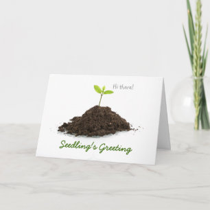 Cartes Pour Fêtes Annuelles La salutation de la jeune plante