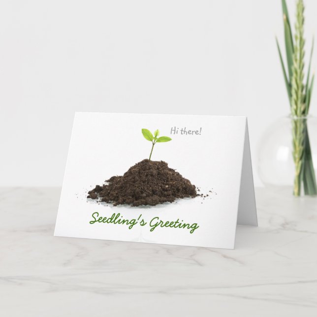 Cartes Pour Fêtes Annuelles La salutation de la jeune plante (Devant)