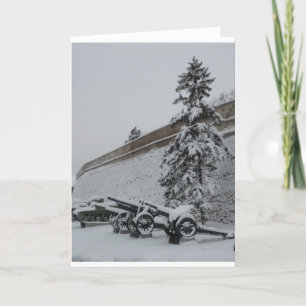 Cartes Pour Fêtes Annuelles La Serbie dans la neige