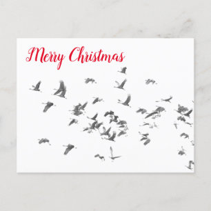 Cartes Pour Fêtes Annuelles La simplicité des Sandhills