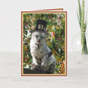 Cartes Pour Fêtes Annuelles LA TURQUIE À NOUVEAU ? Thanksgiving Pilgrim Cat