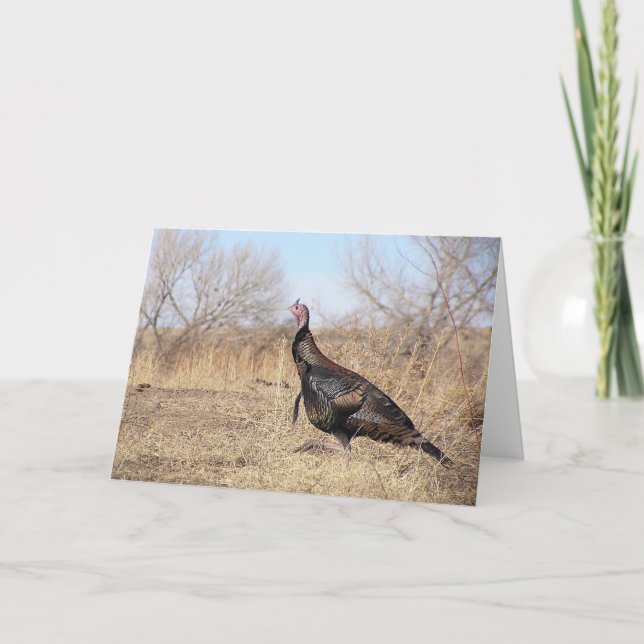 Cartes Pour Fêtes Annuelles La Turquie solitaire (Devant)