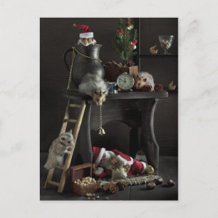 Cartes Pour Fêtes Annuelles La vie tranquille du Nouvel An avec hamsters