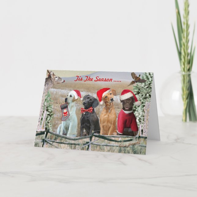 Cartes Pour Fêtes Annuelles Lab Tis The Season Cards (Devant)