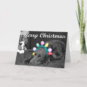 Cartes Pour Fêtes Annuelles Laboratoire Chocolat Dans Le Headband Photo Texte 
