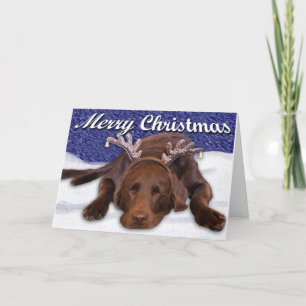 Cartes Pour Fêtes Annuelles Laboratoire Chocolat Dormir Avec Antlers Photo Per
