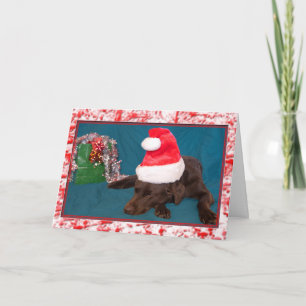 Cartes Pour Fêtes Annuelles Laboratoire de chocolat portant la photo du chapea
