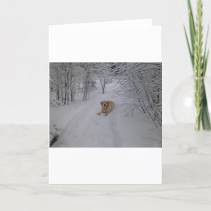 Cartes Pour Fêtes Annuelles Laboratoire jaune détendant dans la neige fraîche