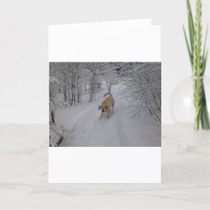Cartes Pour Fêtes Annuelles Laboratoire jaune jouant dans la neige fraîche
