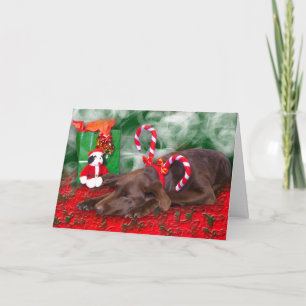 Cartes Pour Fêtes Annuelles Labrador chocolat rayure poivre menthe Texte perso