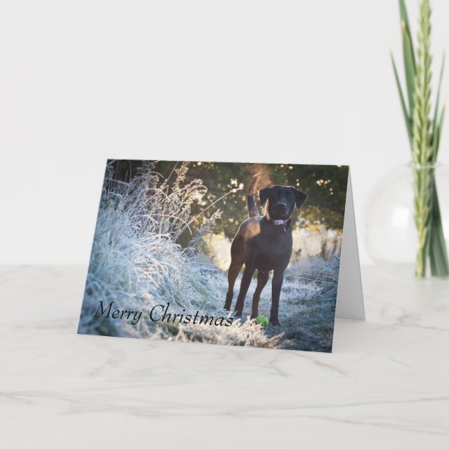 Cartes Pour Fêtes Annuelles Labrador - Noir (Devant)