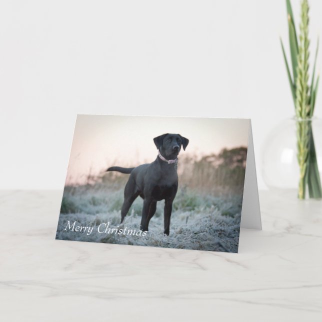 Cartes Pour Fêtes Annuelles Labrador - Noir (Devant)