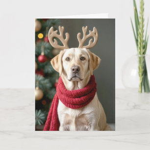 Cartes Pour Fêtes Annuelles Labrador Retriever Avec Des Antlers De Rennes