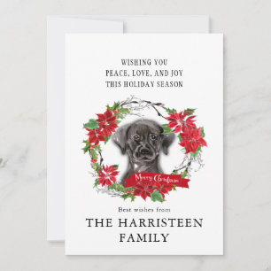 Cartes Pour Fêtes Annuelles Labrador Retriever noir Poinsettia Noël
