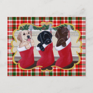 Cartes Pour Fêtes Annuelles Labrador Retriever Puppies Christmas Tartan