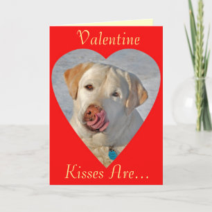 Cartes Pour Fêtes Annuelles Labrador Retriever Valentine's Day Card