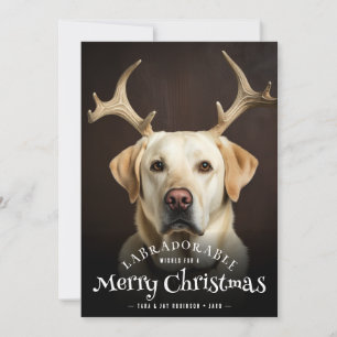 Cartes Pour Fêtes Annuelles Labradorable Vœux Joyeux Noël Texte Chien