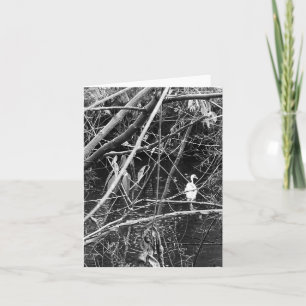 Cartes Pour Fêtes Annuelles lac george