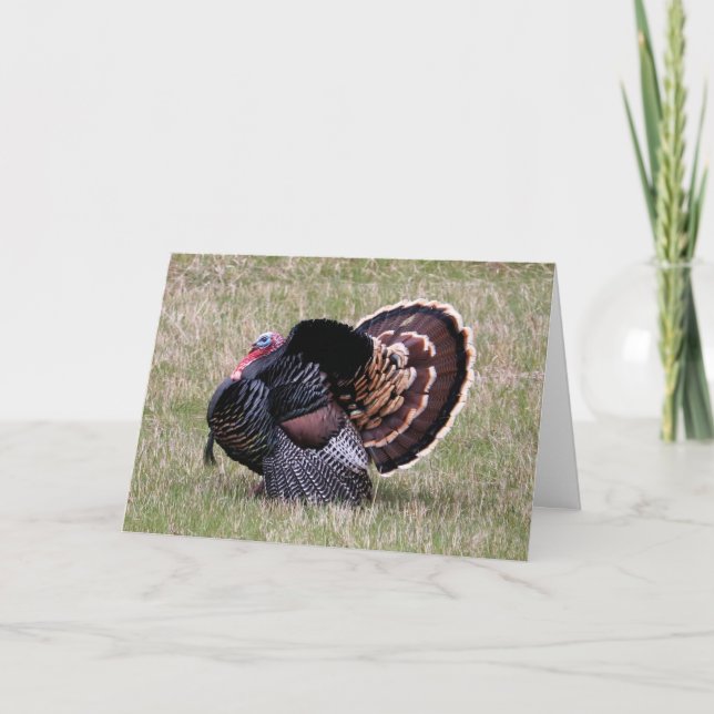 Cartes Pour Fêtes Annuelles L'action de grâces de la Turquie sauvage (Devant)